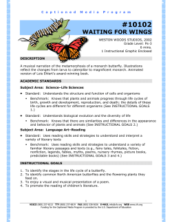 10102 waiting for wings - The Described and Captioned Media