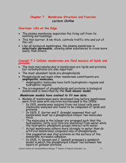 CHAPTER 8 MEMBRANE STUCTURE AND FUNCTION