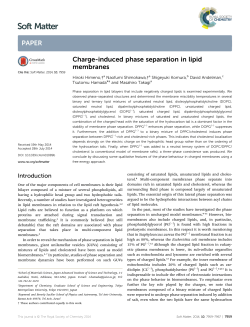Charge-induced phase separation in lipid membranes