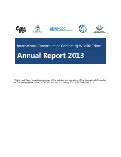 ICCWC Annual Report 2013