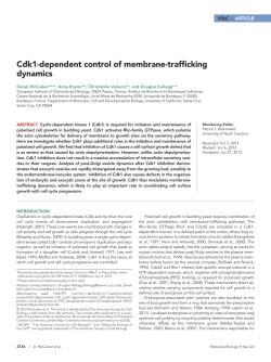 Cdk1-dependent control of membrane