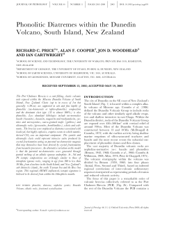 Phonolitic Diatremes within the Dunedin Volcano, South Island, New