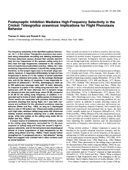 Postsynaptic Inhibition Mediates High