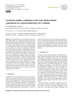 Lacustrine mollusc radiations in the Lake Malawi