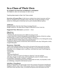 Lesson: In a Class of Their Own