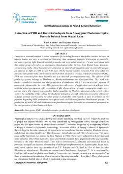 Extraction of PHB and Bacteriorhodopsin from Anoxygenic