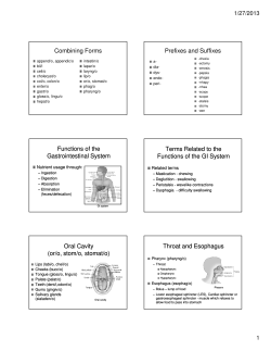 Combining Forms Prefixes and Suffixes