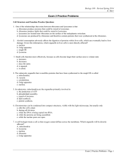 Exam 2 Practice Problems