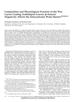 Composition and Physiological Function of the Wax Layers Coating