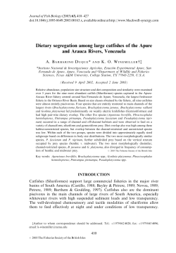 Dietary segregation among large catfishes of the Apure and Arauca