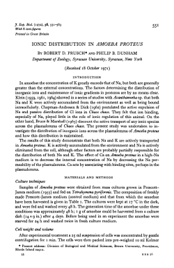 ionic distribution in amoeba proteus