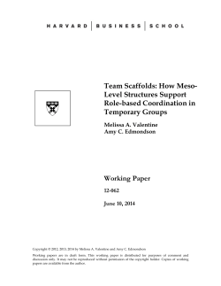 Team Scaffolds: How Meso- Level Structures Support Role