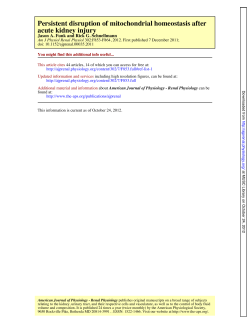 acute kidney injury Persistent disruption of mitochondrial