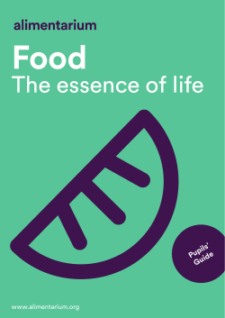Pupils` guide - Alimentarium