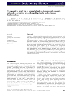 Comparative analysis of encephalization in mammals reveals