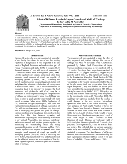 Effect of Different Level of GA3 on Growth and Yield of Cabbage