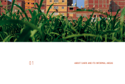 about cairo and its informal areas