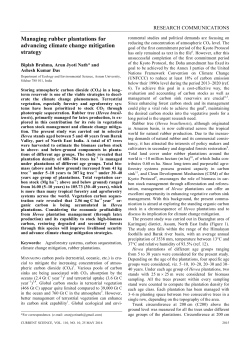 Managing rubber plantations for advancing