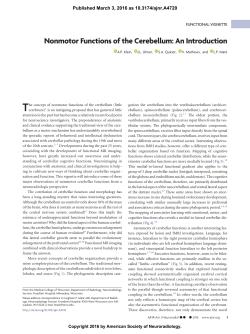 1 - American Journal of Neuroradiology