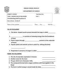 FILL IN THE BLANKS 1. The dome- shaped muscle present beneath