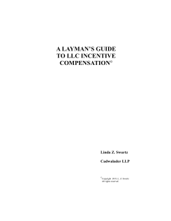 A Layman`s Guide to LLC Incentive Compensation
