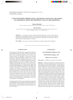 1 a new pontoniine shrimp genus and species (crustacea: decapoda