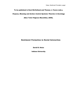 Sentiment Formation in Social Interaction