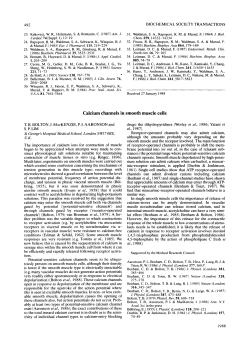 Calcium channels in smooth muscle cells