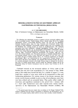 miscellaneous notes on southern african gastropoda - UvA-DARE