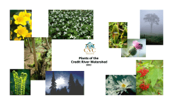Plants of the Credit River Watershed