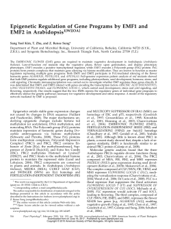 Epigenetic Regulation of Gene Programs by