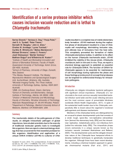 Identification of a serine protease inhibitor which