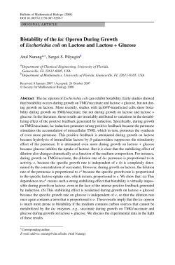 Bistability of the lac Operon During Growth of Escherichia coli on