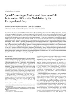 Spinal Processing of Noxious and Innocuous Cold Information