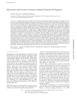 Movement and Crevices Around a Sodium Channel S3 Segment