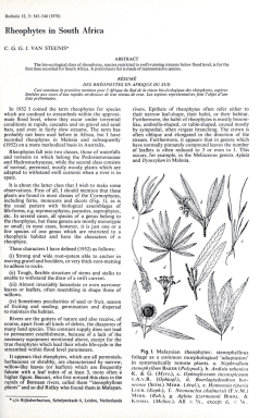 Rheophytes in South Africa