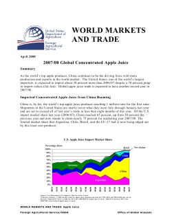 2007/08 Global Concentrated Apple Juice