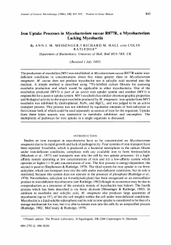 Iron Uptake Processes in Mycobactevium vaccae