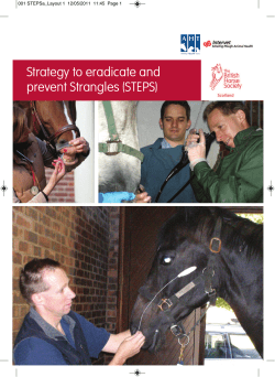 Strategy to eradicate and prevent Strangles (STEPS)