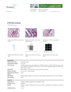 ATP6V0A2 Antibody