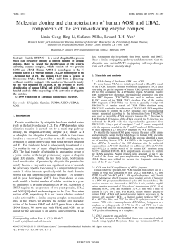 Molecular cloning and characterization of human AOS1 and UBA2
