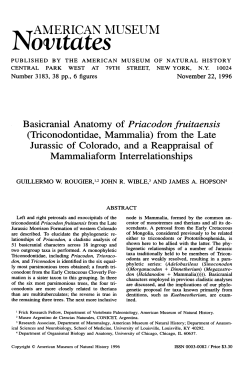 Novitates - AMNH Library Digital Repository