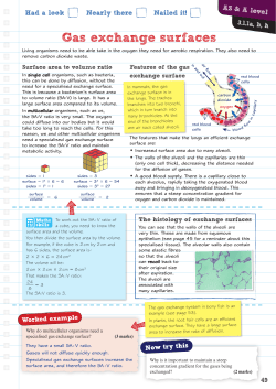 Gas exchange surfaces - Pearson Schools and FE Colleges