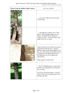 Scavenger Hunt - Girl Guides of Canada.