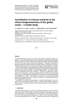 Contribution of riverine nutrients to the silicon biogeochemistry of the