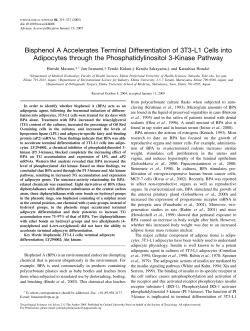 Bisphenol A Accelerates Terminal Differentiation
