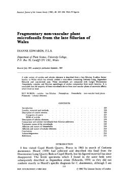 Fragmentary nonvascular plant microfossils from the late Silurian of