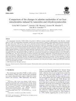 Comparison of the changes in adenine nucleotides of