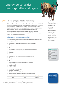 energy personalities - bears, gazelles and tigers