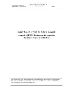 Expert Report of Prof. Dr. Valerio Cozzani